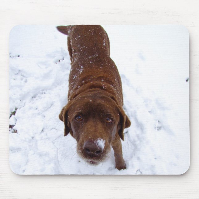 Schokolade Labrador im Schnee Mousepad (Vorne)
