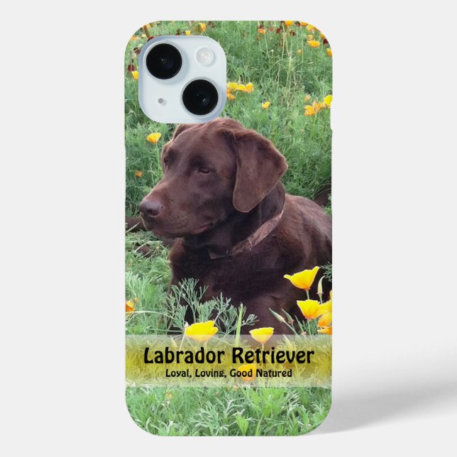 Schokolade Labrador in California Poppy Patch Case-Mate iPhone Hülle (Rückseite)