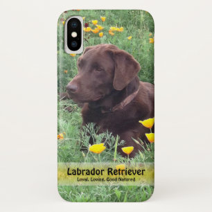 Schokolade Labrador in California Poppy Patch Case-Mate iPhone Hülle