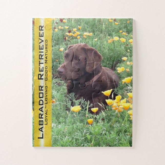 Schokolade Labrador in California Poppy Patch Puzzle (Vertikal)
