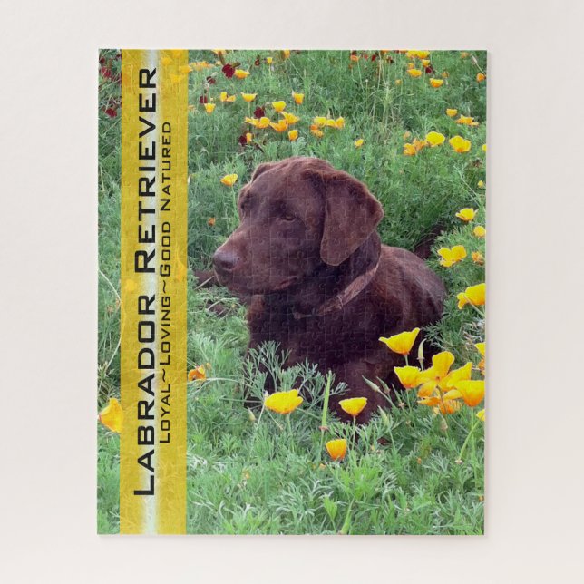 Schokolade Labrador in California Poppy Patch Puzzle (Vertikal)