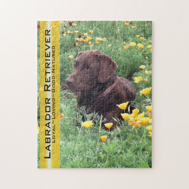 Schokolade Labrador in California Poppy Patch Puzzle (Vertikal)