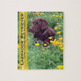 Schokolade Labrador in California Poppy Patch Puzzle