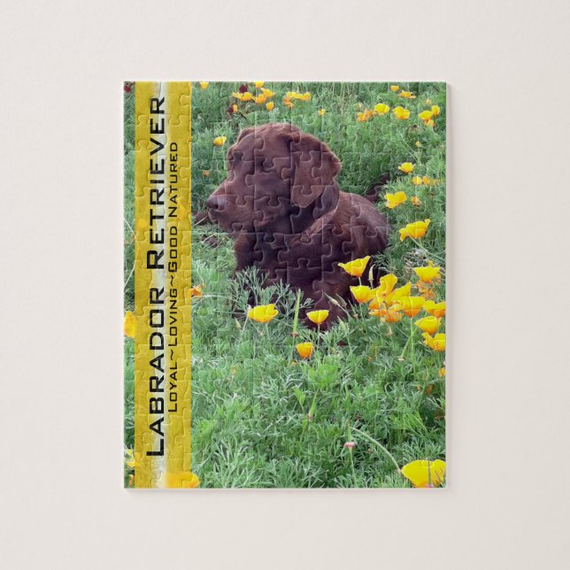 Schokolade Labrador in California Poppy Patch Puzzle (Vertikal)