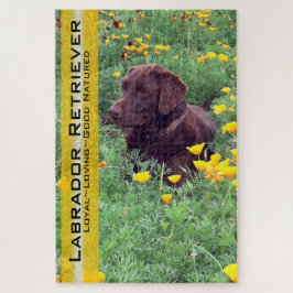 Schokolade Labrador in California Poppy Patch Puzzle