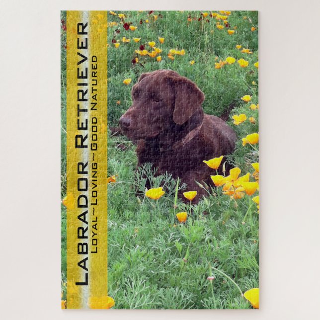 Schokolade Labrador in California Poppy Patch Puzzle (Vertikal)