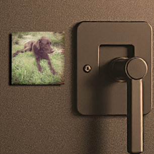 Schokolade Labrador in Grasfotografie Magnet