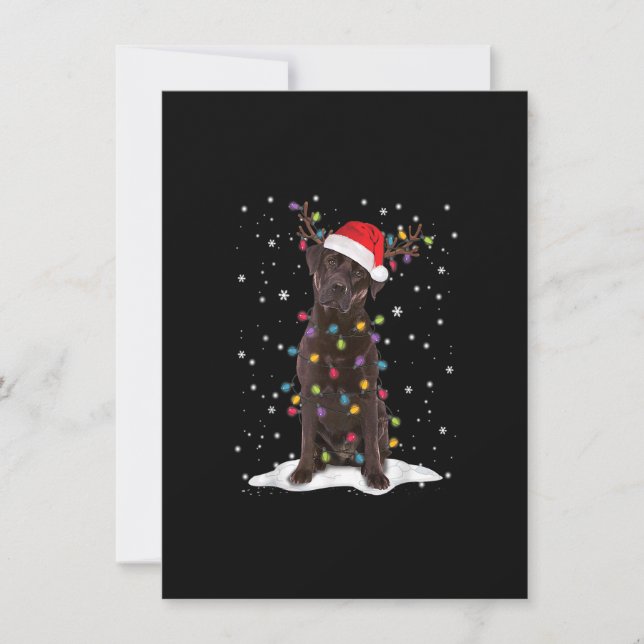 Schokolade Labrador Labrador Weihnachtsbaum Light  Einladung (Vorderseite)
