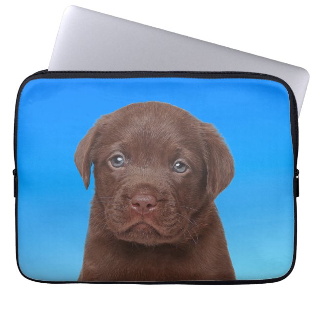 Schokolade Labrador Laptopschutzhülle (Vorderseite)