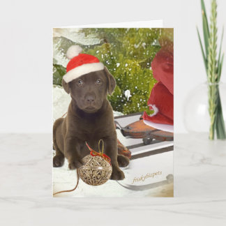 Schokolade Labrador Lieben Weihnachtskarten Feiertagskarte