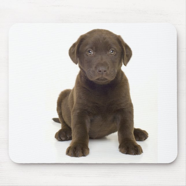 Schokolade Labrador Mousepad (Vorne)