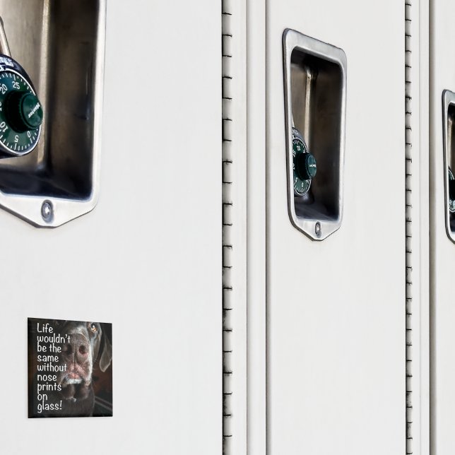 Schokolade-Labrador-Nase Nah-Up-Foto Magnet (In Situ (Schrank))