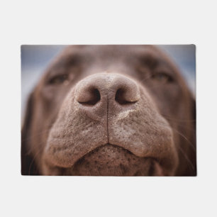 Schokolade-Labrador-Nase-Schließung Fußmatte
