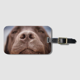 Schokolade-Labrador-Nase-Schließung Gepäckanhänger