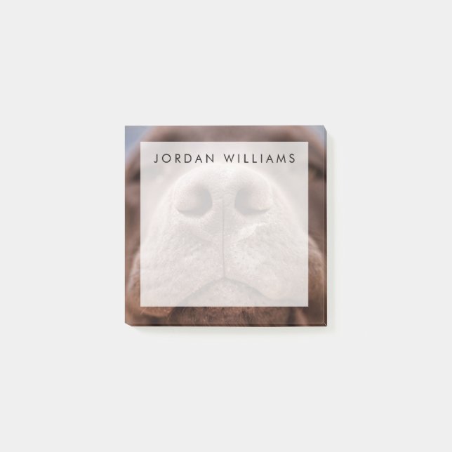 Schokolade-Labrador-Nase-Schließung Post-it Klebezettel (Vorderseite)