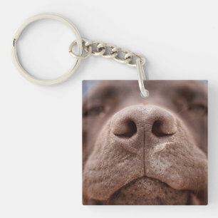 Schokolade-Labrador-Nase-Schließung Schlüsselanhänger