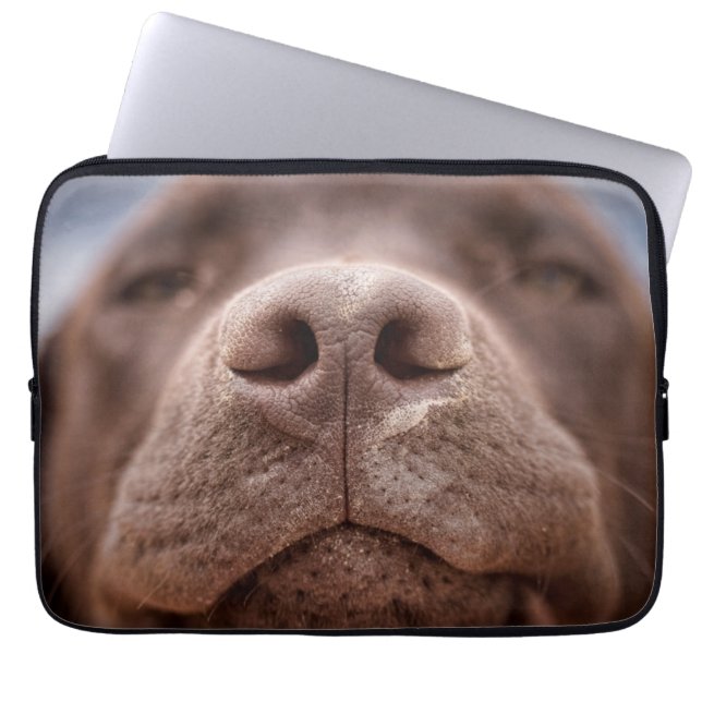 Schokolade-Labrador-Nasennähe Laptopschutzhülle (Vorderseite)