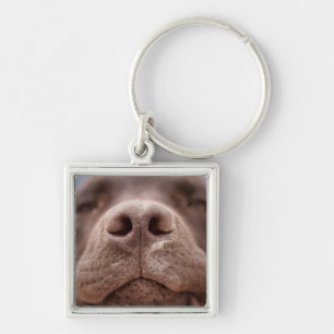 Schokolade-Labrador-Nasennähe Schlüsselanhänger