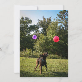 Schokolade Labrador Party Einladung