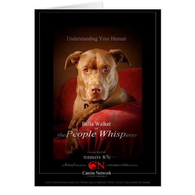 Schokolade Labrador Pit Mix Dog Movie Poster (Vorne)