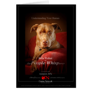 Schokolade Labrador Pit Mix Dog Movie Poster