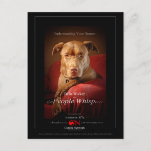 Schokolade Labrador Pit Mix Dog Movie Poster Postkarte