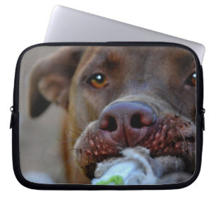 Schokolade Labrador Pit Puppy Laptopschutzhülle
