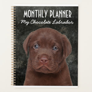 Schokolade Labrador Planner Planer