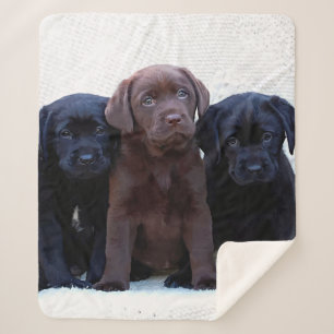 Schokolade Labrador - Puppen aus schwarzem Labrado Sherpadecke