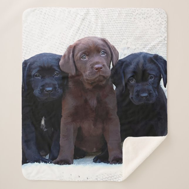 Schokolade Labrador - Puppen aus schwarzem Labrado Sherpadecke (Vorderseite)