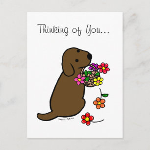 Schokolade Labrador Puppy Blume Cartoon Postkarte