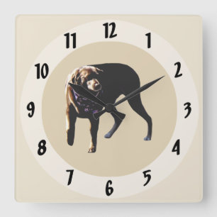 Schokolade Labrador Quadratische Wanduhr