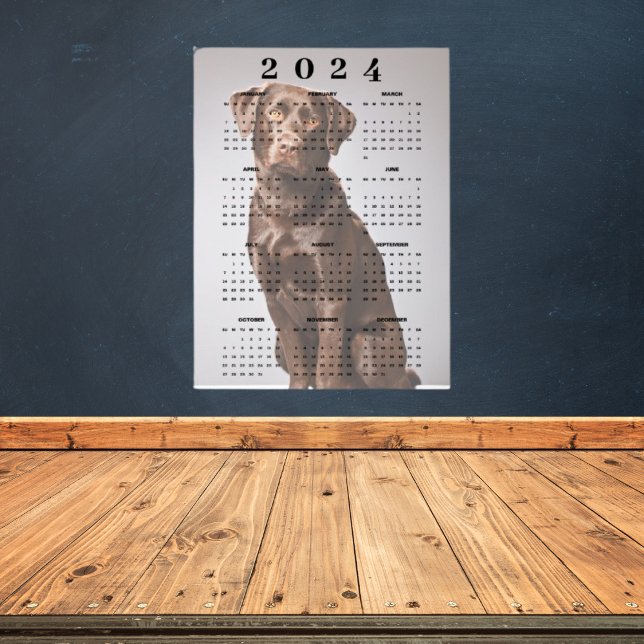 Schokolade Labrador Retriever 2024 Wall Calendar Poster (Von Creator hochgeladen)