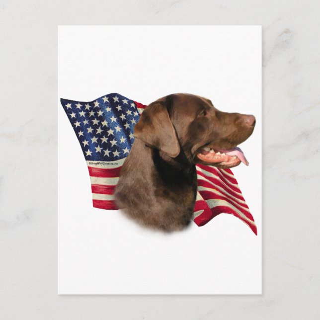 Schokolade Labrador Retriever American Flag Postkarte (Vorderseite)