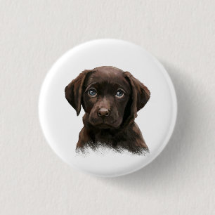 Schokolade Labrador Retriever Brown Button