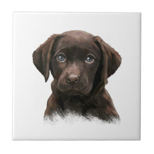 Schokolade Labrador Retriever Brown Fliese