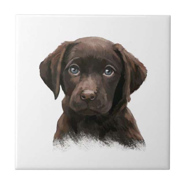 Schokolade Labrador Retriever Brown Fliese (Vorderseite)