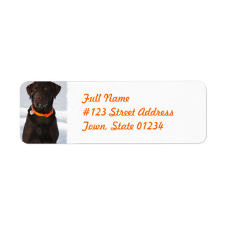 Schokolade-Labrador-Retriever-Etikett