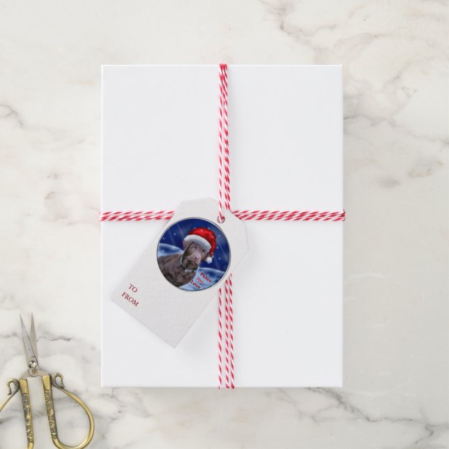 Schokolade Labrador Retriever Geschenkanhänger (Mit Garn)