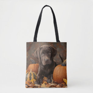 Schokolade Labrador Retriever Herbst