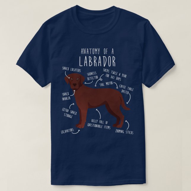 Schokolade Labrador Retriever Hunde Anatomie 1 T-Shirt (Design vorne)