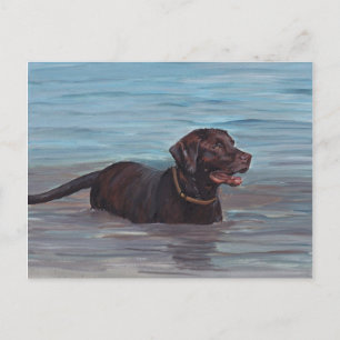 Schokolade Labrador Retriever in Water Note Card Postkarte