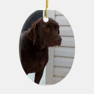 Schokolade Labrador retriever Keramikornament