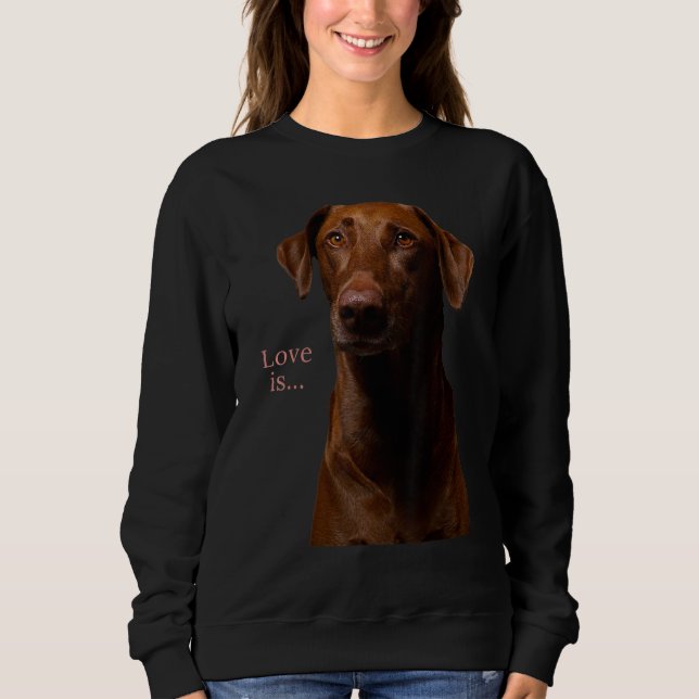 Schokolade Labrador Retriever Labrador T-Shirt Hun Sweatshirt (Vorderseite)