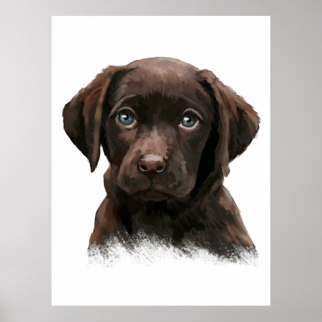 Schokolade Labrador Retriever Poster (Vorne)