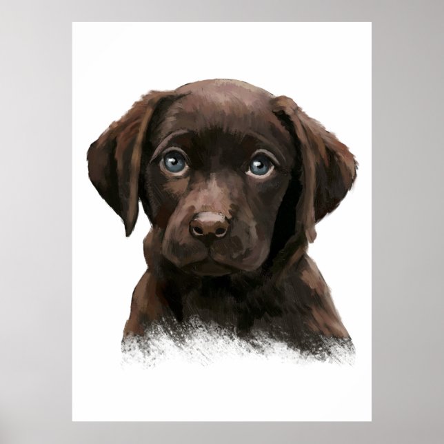 Schokolade Labrador Retriever Poster (Vorne)