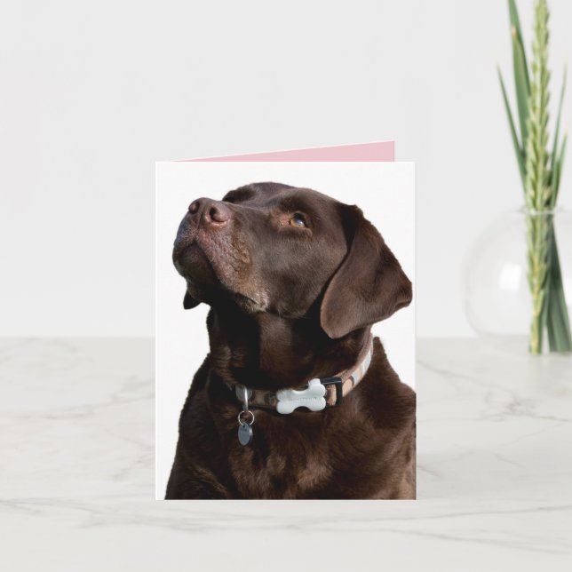 Schokolade Labrador Retriever Puppy Hund Note Card Karte (Vorderseite)