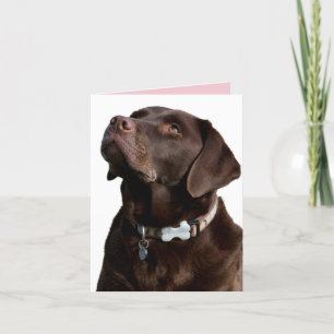 Schokolade Labrador Retriever Puppy Hund Note Card Karte