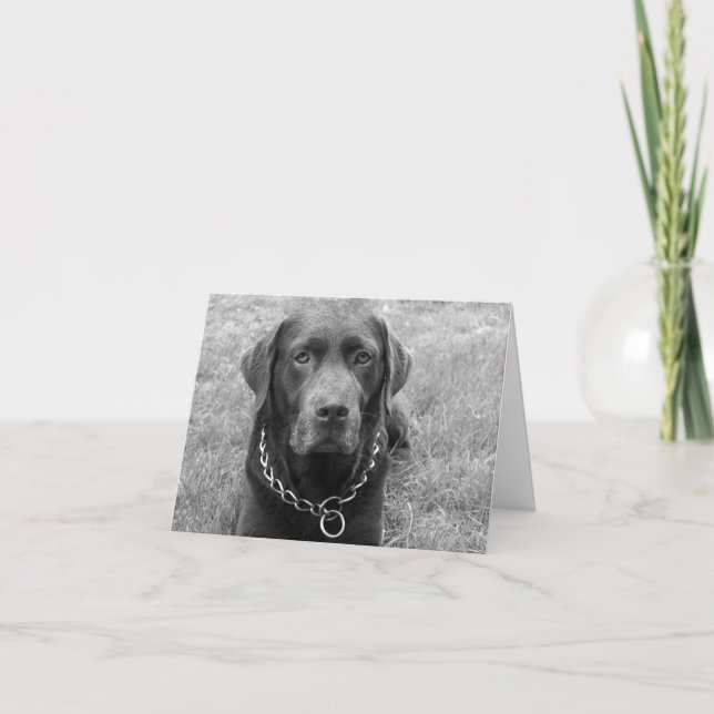 Schokolade Labrador Retriever Puppy Hund Note Card Karte (Vorderseite)