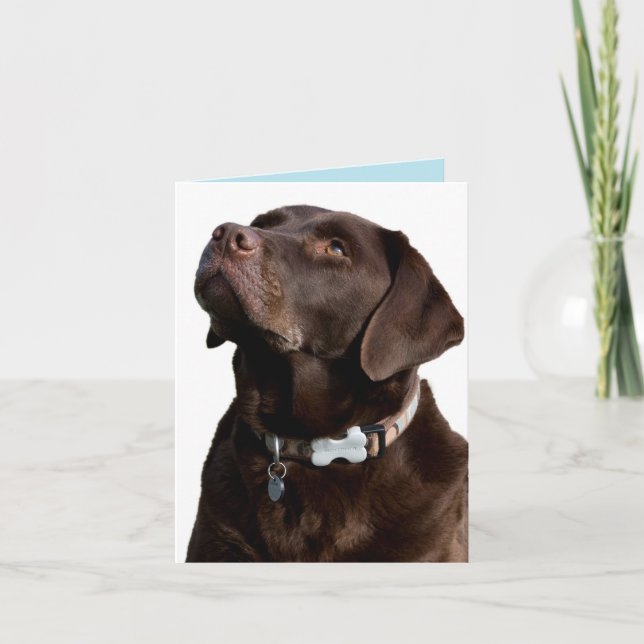 Schokolade Labrador Retriever Puppy Hund Note Card Karte (Vorderseite)
